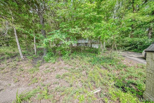 10820 Clayton Ct, Rolla, MO 65401 - view of yard