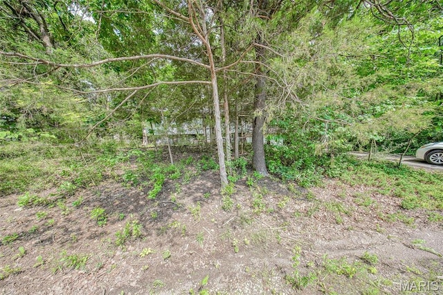 10820 Clayton Ct, Rolla, MO 65401 - view of local wilderness