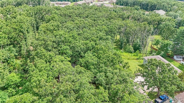 10820 Clayton Ct, Rolla, MO 65401 - drone / aerial view of a forest