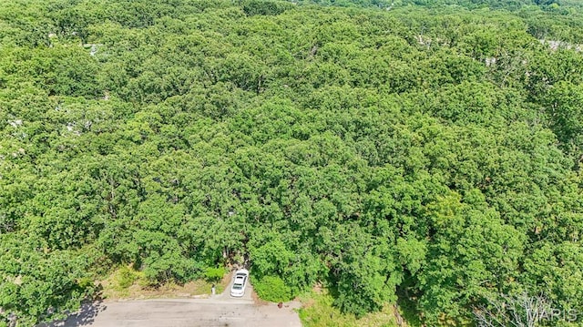 10820 Clayton Ct, Rolla, MO 65401 - drone / aerial view of a forest
