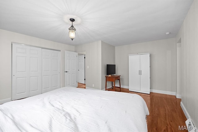 101 E Fairway Dr, Belleville, IL 62223 - bedroom with wood finished floors and a closet