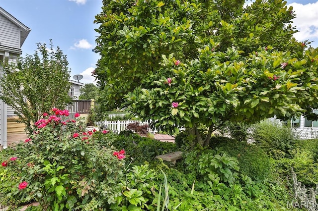 1377 Remington Oaks Ter, Fenton, MO 63026