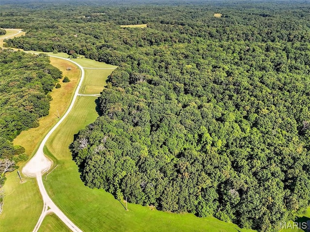 23827 Falcon Ridge Rd, Warrenton, MO 63383 - view of property location featuring a heavily wooded area