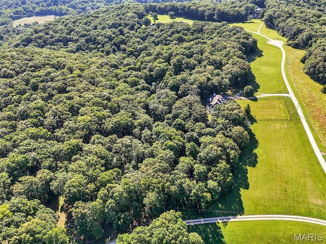23827 Falcon Ridge Rd, Warrenton, MO 63383 - bird's eye view of a forest