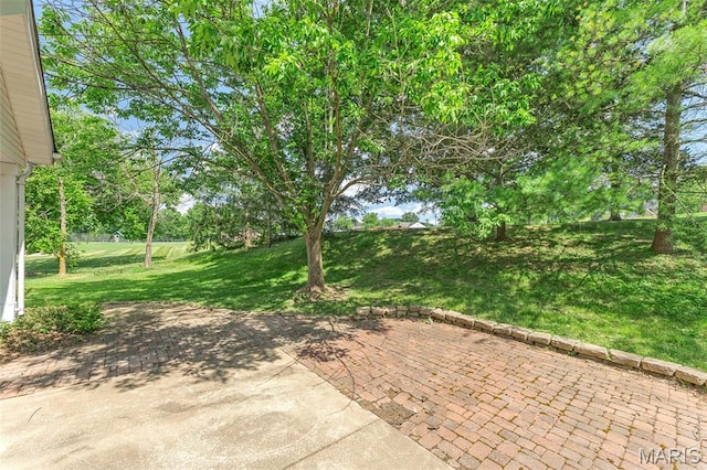 620 Thorntree Ln, Saint Louis, MO 63025 - photo 4