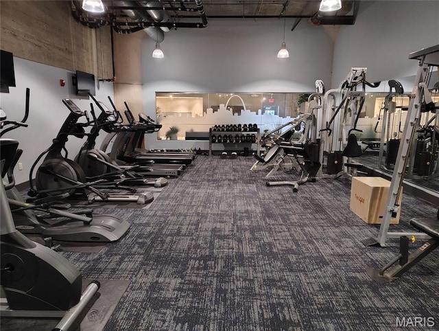 4100 Forest Park Ave Unit 322, Saint Louis, MO 63108 - workout area featuring a high ceiling and carpet floors
