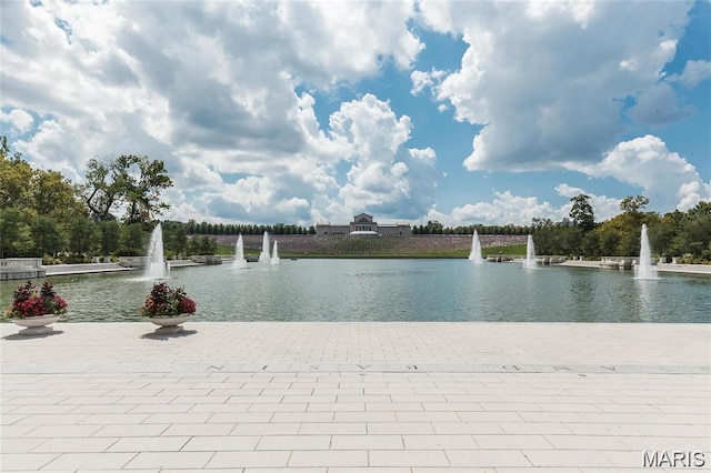 4100 Forest Park Ave Unit 322, Saint Louis, MO 63108 - water view