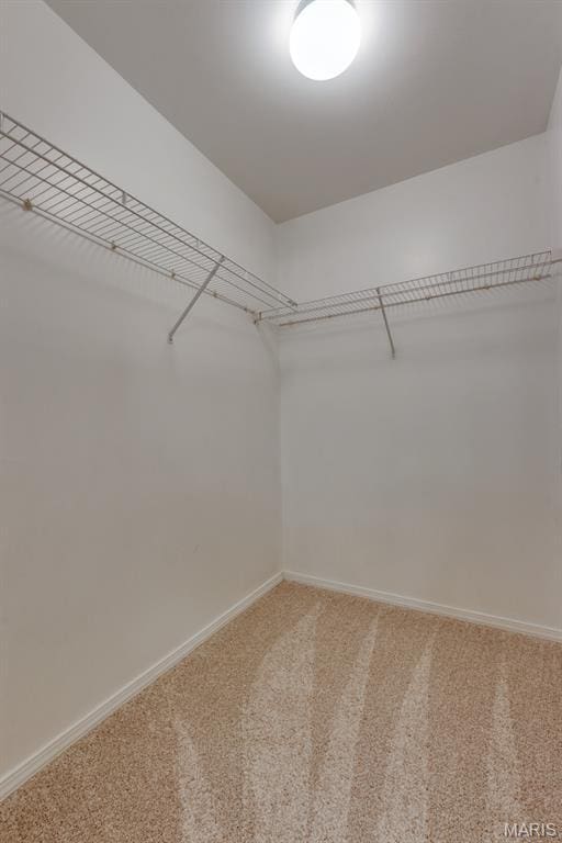 1125 Arbor Creek Dr Unit 2D, Saint Louis, MO 63122 - walk in closet featuring carpet floors