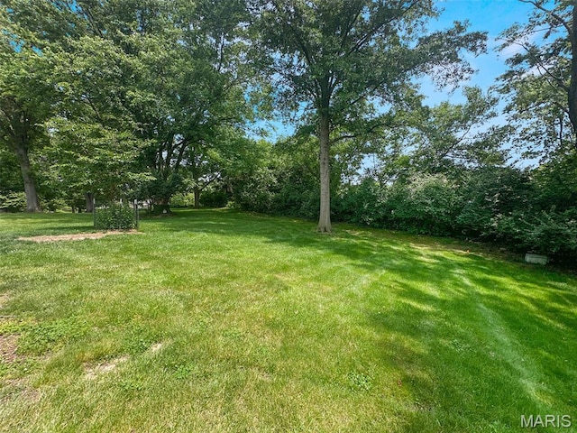 15468 Hitchcock Rd, Chesterfield, MO 63017 - view of grassy yard