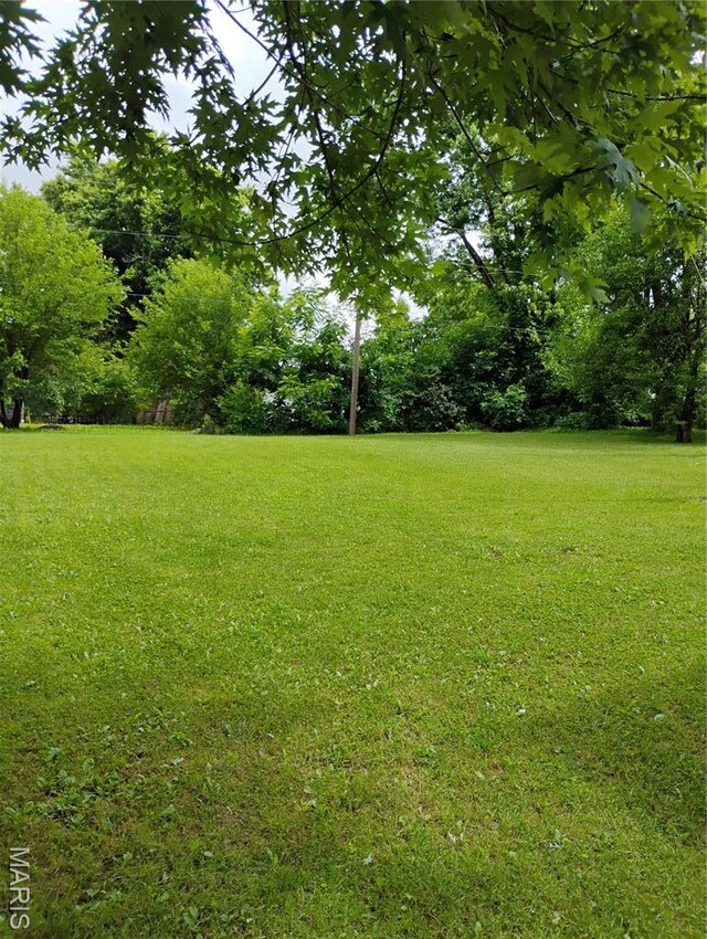 131 Sackett St, Licking, MO 65542 - view of grassy yard
