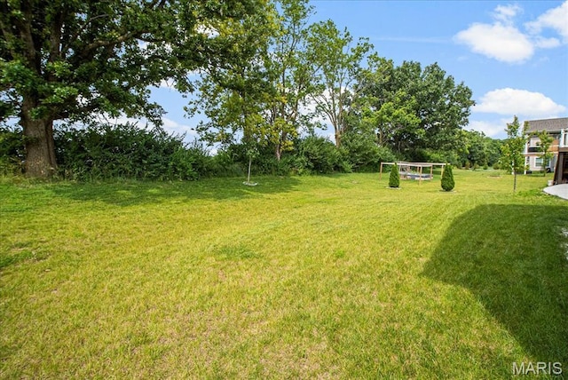 101 Hannahs Mill Dr, Lake St Louis, MO 63367 - photo 32