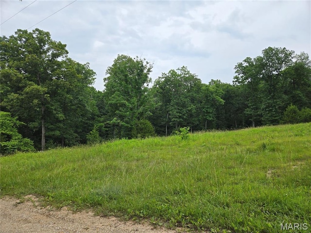 0-1 Mark Peterson Dr, Wright City, MO 63390