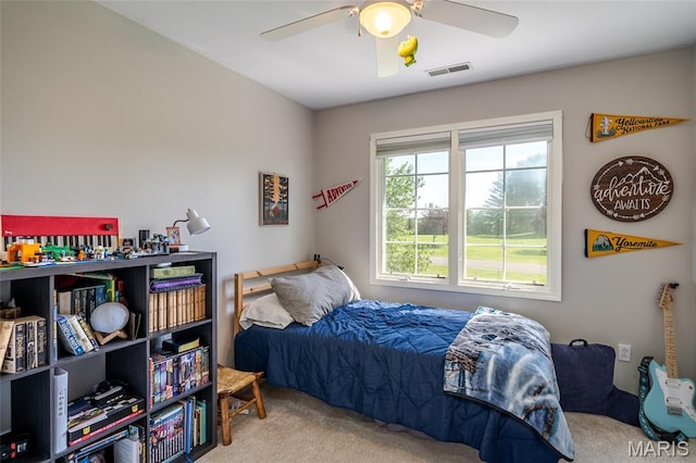 133 Pennant Dr, Washington, MO 63090 - photo 70