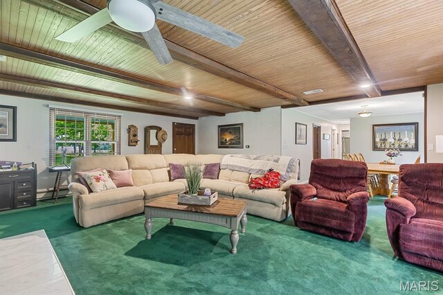 43813 Audrain Road 620, Middletown, MO 63384 - photo 8