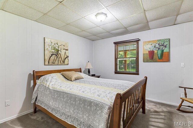 43813 Audrain Road 620, Middletown, MO 63384 - photo 15