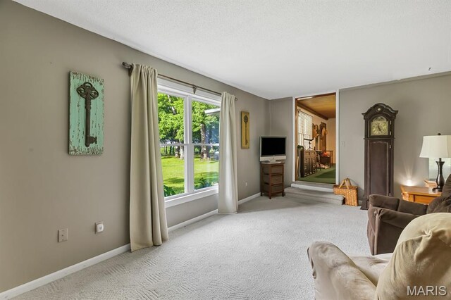 43813 Audrain Road 620, Middletown, MO 63384 - photo 18