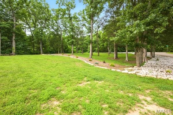 5 Sherman Ct, Hillsboro, MO 63050 - view of grassy yard