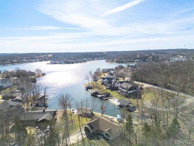 5 Sherman Ct, Hillsboro, MO 63050 - aerial view of residential area with a large body of water