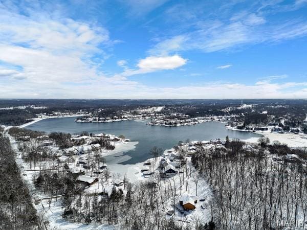 5 Sherman Ct, Hillsboro, MO 63050 - snowy aerial view featuring a water view