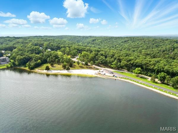 5 Sherman Ct, Hillsboro, MO 63050 - aerial view of a forest