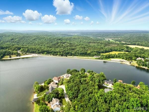5 Sherman Ct, Hillsboro, MO 63050 - bird's eye view of a nearby body of water