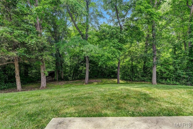 264 Rockport Dr, Troy, MO 63379 - photo 30