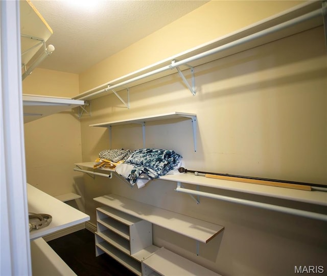 1106 Tulip Trce, Sikeston, MO 63801 - view of walk in closet