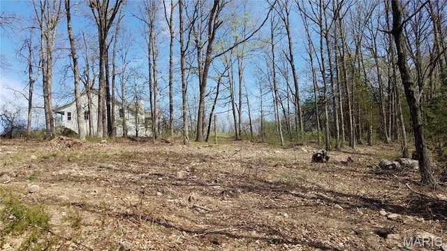 16055 S J D Sapp Rd, Hartsburg, MO 65039 - photo 10