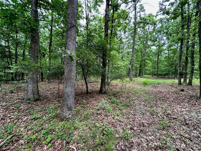 0 County Road 5500, Salem, MO 65560