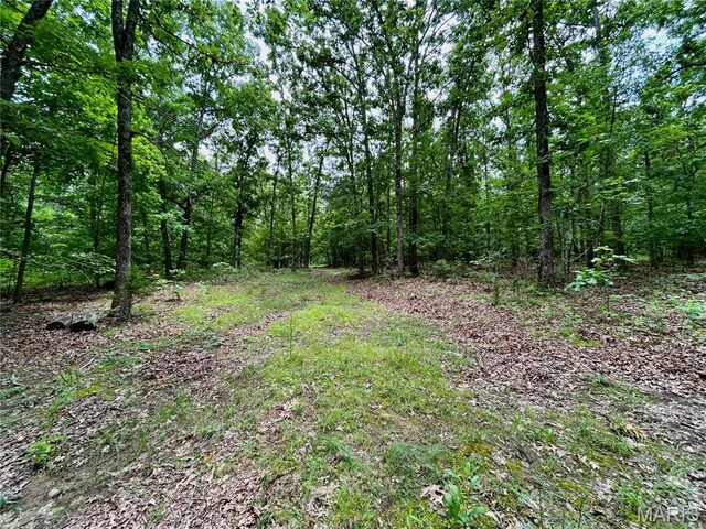 0 County Road 5500, Salem, MO 65560