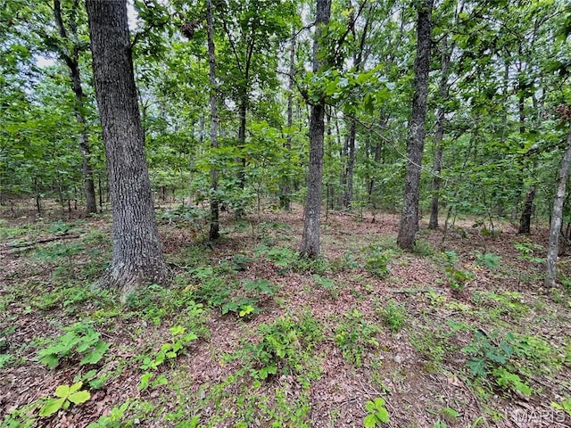 0 County Road 5500, Salem, MO 65560