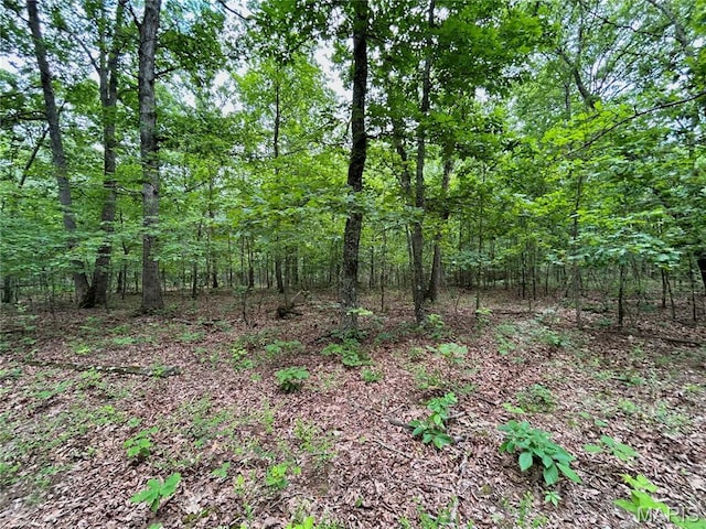0 County Road 5500, Salem, MO 65560
