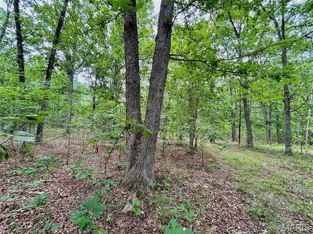 0 County Road 5500, Salem, MO 65560