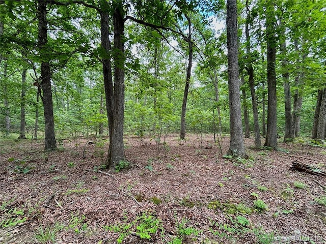0 County Road 5500, Salem, MO 65560