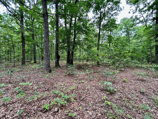 0 County Road 5500, Salem, MO 65560