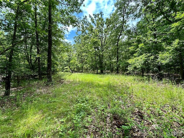 0 County Road 5500, Salem, MO 65560
