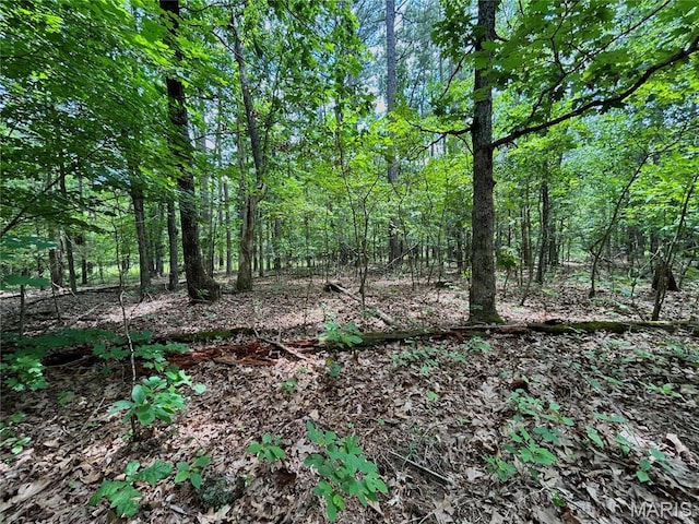 0 County Road 5500, Salem, MO 65560