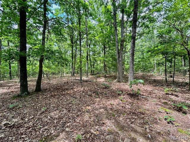 0 County Road 5500, Salem, MO 65560