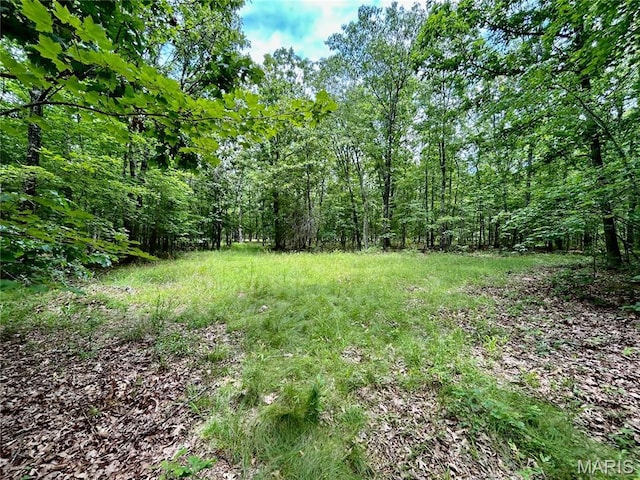 0 County Road 5500, Salem, MO 65560