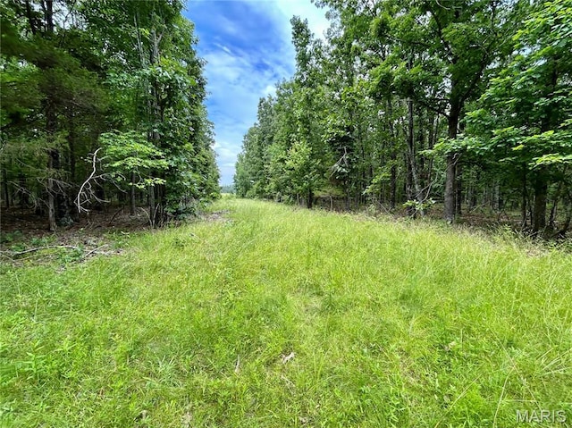 0 County Road 5500, Salem, MO 65560