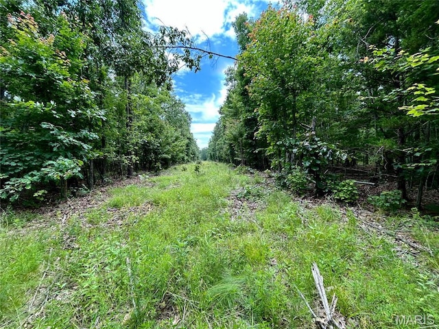 0 County Road 5500, Salem, MO 65560