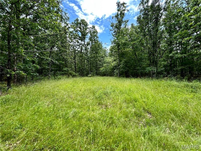 0 County Road 5500, Salem, MO 65560