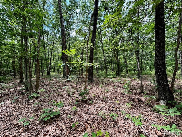 0 County Road 5500, Salem, MO 65560