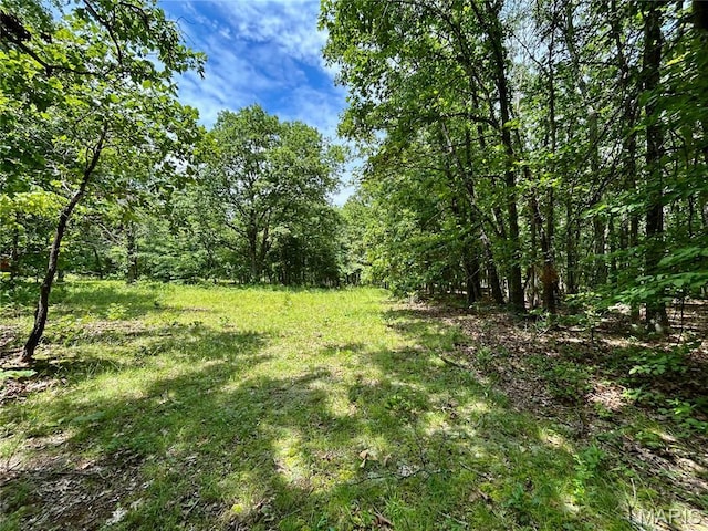 0 County Road 5500, Salem, MO 65560