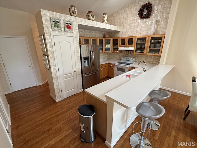 17 Battersea Ct Unit 6B, Ofallon, MO 63366 - kitchen with stainless steel refrigerator with ice dispenser, electric range, under cabinet range hood, brown cabinets, and a breakfast bar