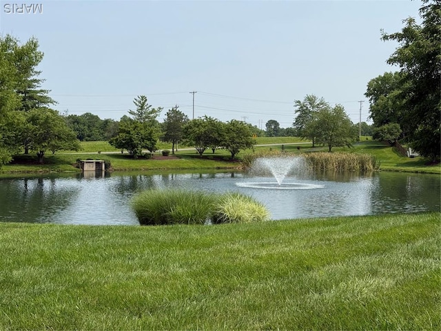 17 Battersea Ct Unit 6B, Ofallon, MO 63366 - water view