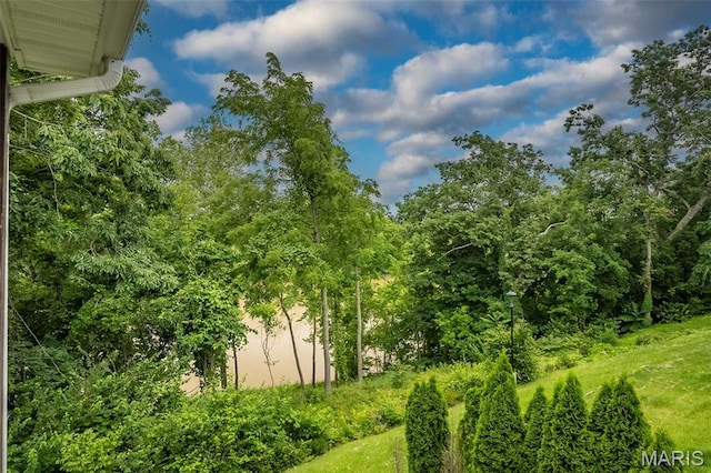 425 Bluffview Hts, Arnold, MO 63010 - view of local wilderness