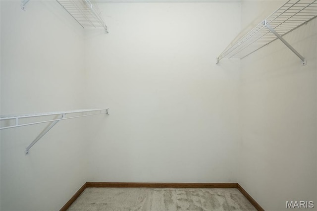 425 Bluffview Hts, Arnold, MO 63010 - walk in closet with light carpet