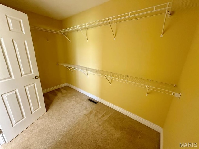 17138 E Cedar Hills Dr, Dexter, MO 63841 - walk in closet featuring carpet