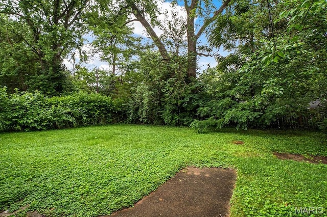 14 Lillian Dr, Belleville, IL 62226 - view of green lawn